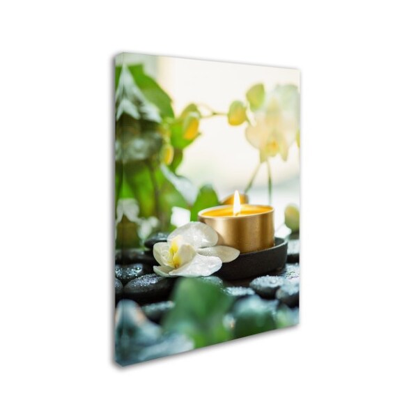 Johanna 'Zen Orchid And Candle' Canvas Art,35x47